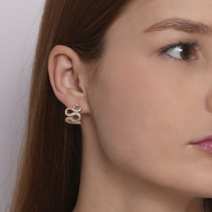 Brinco Cravejado Gotas